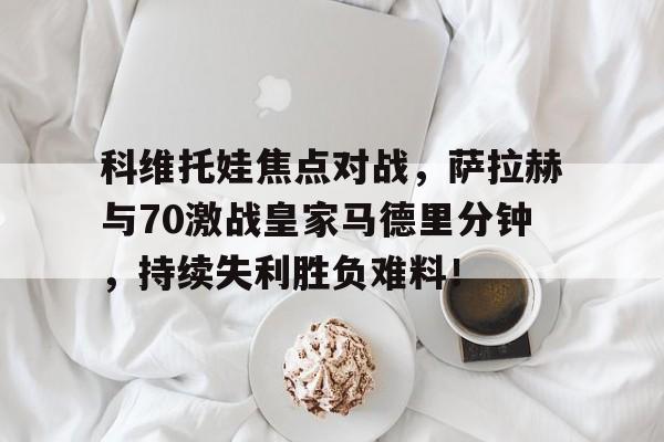 九游网页平台-萨拉丝巴蒂百科